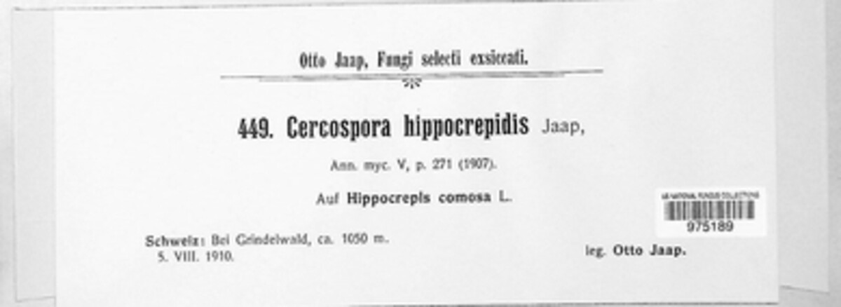 Cercospora hippocrepidis image